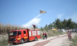 Çanakkale’de orman yangını: Havadan ve karadan müdahale sürüyor