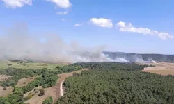 Çanakkale'de orman yangını: Ekipler müdahale etti