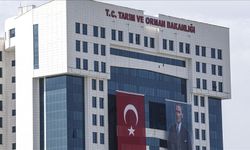 Tarım ve Orman Bakanlığı ambalajlarda yanıltıcı görsellere kısıtlama getirdi