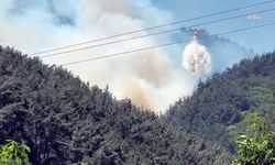 Manisa Soma'daki orman yangını kontrol altına alındı