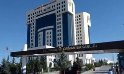 Tarım ve Orman Bakanlığı: Gıda etiketlerinde yanıltıcı ifadeler yasaklandı