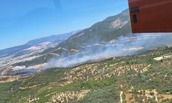 İzmir Buca’da yangın