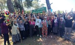 Akbelen'deki kamulaştırma sürecinde yeni karar: Danıştay kararına kadar durduruldu