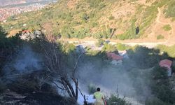Isparta’da orman yangını söndürüldü: Bal kovanları zarar gördü