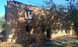Malatya Pütürge’de yangın: 2 ev ve 20 dönüm meyve bahçesi zarar gördü