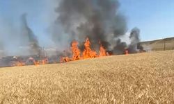 Yozgat Yerköy’de buğday tarlasında yangın: 4 dekarlık ekili alan zarar gördü