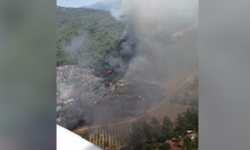 Aydın Kuyucak'ta orman yangını: 3 uçak ve 4 helikopter sevk edildi
