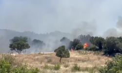 Çanakkale’de orman yangını: Ayvacık’ta alevler kontrol altına alındı