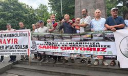 Trabzon'da HES ve maden projelerine karşı eylem: "Trabzon'un tamamına yönelmiş bir doğa talanı"