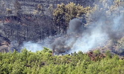 Fethiye'de yangından etkilenen bölgelerde hasar çalışması başlatıldı