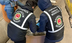Ticaret Bakanlığı: Gümrüklerde 63 milyar liralık kaçak eşya ele geçirildi