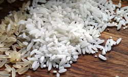Çankırı Ilgaz sarıkılçık pirinci TÜRKPATENT tarafından tescillendi