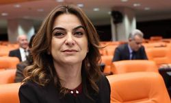 DEM Parti'den 'çerçeve yasa' açıklaması: "Yazılı yasa taslağı bize ulaşmadı"