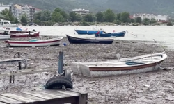Kastamonu Cide'de taşkın: Liman ve balıkçı barınağı balçıkla kaplandı
