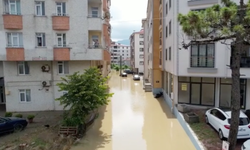 Kastamonu Cide'de taşkın: Liman ve balıkçı barınağı balçıkla kaplandı