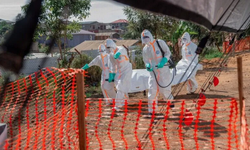 KDC'de Ebola salgınında can kaybı 625'e çıktı