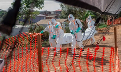 KDC'de Ebola salgını: Vaka sayısı 2 bin 344'e yükseldi