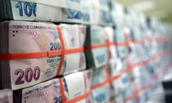 Hazine açıkladı: Merkezi yönetim brüt borç stoku içinde TL ve döviz payı belli oldu