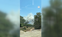 Muğla Fethiye'de orman yangını: Müdahale sürüyor