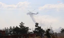 Muğla Menteşe’de ziraat alanından ormana sıçrayan yangında bir gözaltı