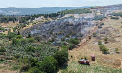 Muğla’da orman yangını: Havadan ve karadan çalışma başlatıldı