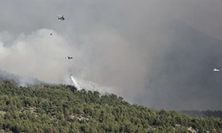 İletişim Başkanlığı: Orman yangınlarına 28 uçak ve 119 helikopterle müdahale ediliyor