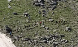 Hakkari Cilo Dağları'nda kaybolan dağcı için arama çalışması başlatıldı