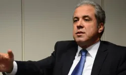 AKP'li Tayyar'dan 'Cem Küçük' açıklaması: "İddia doğruysa babam da olsa sahip çıkmam"