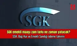 Emekli maaşı zam farkı yattı mı? Emekli maaşı fark ödemesi nasıl sorgulanır?SSK, Bağ-Kur ve Emekli Sandığı ödeme takvimi