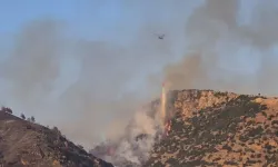 Denizli Pamukkale’deki orman yangını kontrol altına alındı
