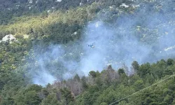 Antalya Kaş'ta orman yangını: Havadan ve karadan müdahale sürüyor