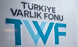 Türkiye Varlık Fonu: GSR puanı yüzde 84’e yükseldi