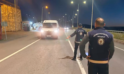 İçişleri Bakanlığı: 81 ilde denetimlerde 355 düzensiz göçmen yakalandı
