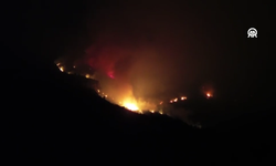 Antalya Kaş’taki orman yangınına karadan müdahale gece boyunca sürdü
