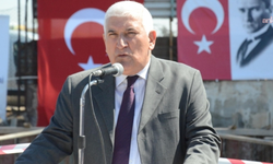 TMMOB'dan orman yangınları için çağrı: Liyakat sağlansın, anız yakılması yasaklansın