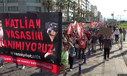 Yavru kediye işkence edip öldüren iki kişi hakkında gözaltı kararı