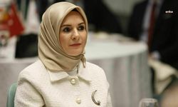 Edirnedeki milletvekiline yönelik 'taciz' iddialarına Bakan Göktaş'tan açıklama