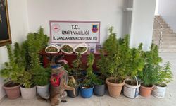 İzmir’de uyuşturucu operasyonu: 8 kilo 339 gram esrar ele geçirildi