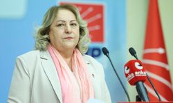 CHP Kadın Kolları Genel Başkanı Gülsever: "Çocukların güvenliğinden sosyal devlet sorumludur"