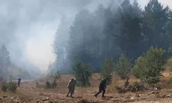 Orman yangınlarında adli bilanço: 64 yangın, 11 tutuklama