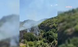 Sinop Boyabat'taki orman yangını kontrol altına alındı: 10 hektarlık alan zarar gördü