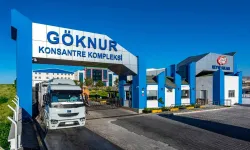 “Alihan Kuriş suç örgütü” soruşturması: Göknur Gıda'da kayyım kararı kaldırıldı