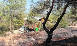 Bilecik'teki orman yangını ekiplerin müdahalesi sonucu kontrol altına alındı