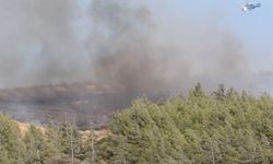 Hatay’da ormanlık alanda yangın: Havadan ve karadan müdahale sürüyor