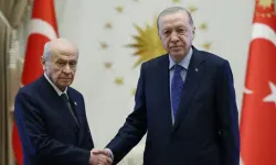 Cumhurbaşkanı Erdoğan ile Bahçeli 'çerçeve yasa' gündemiyle görüştü