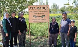Ankara'nın "yeşil altını" Çubuk turşusu 15 ülkenin sofrasında: 45 çeşit ürünle hedef 90 bin ton satış