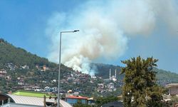 Antalya Alanya'da orman yangını: Alevler havadan ve karadan müdahaleyle söndürüldü