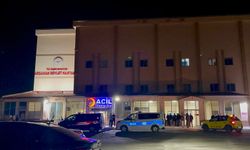Ardahan traktör kazası: Römorkun altında kalan adam yaşamını yitirdi
