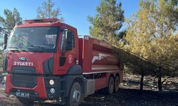 Gaziantep Nizip'te çıkan orman yangını söndürüldü