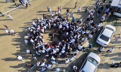 Kastamonu Taşköprü'deki Sarımsak Festivali'nde çarpışan iki at telef oldu